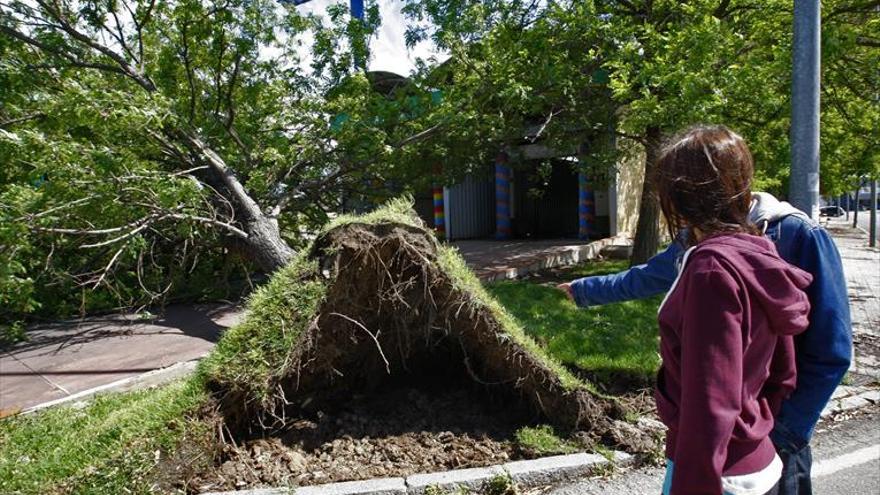 La tormenta deja 23 avisos a los bomberos en solo una hora