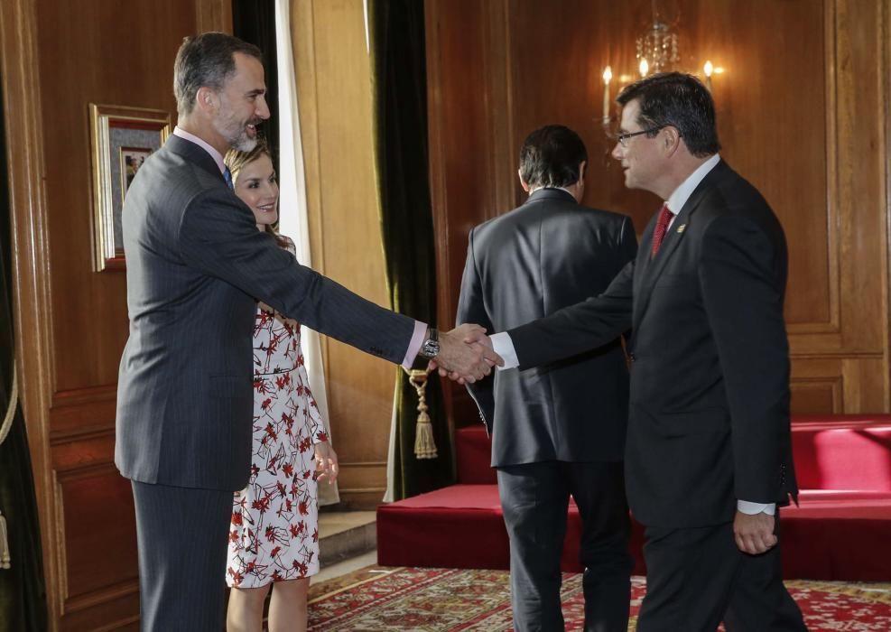 Audiencia de los Reyes con los galardonados con las Medallas de Asturias 2016