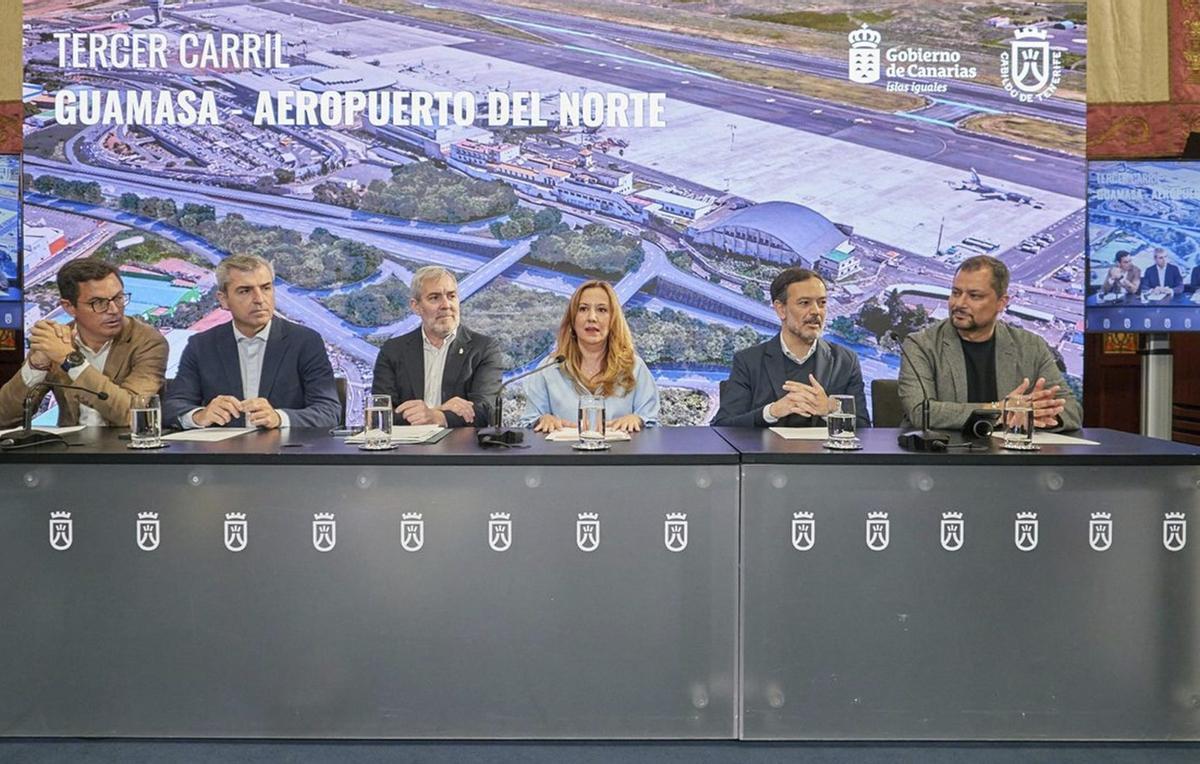 Rosa Dávila, presidenta del Cabildo de Tenerife.|