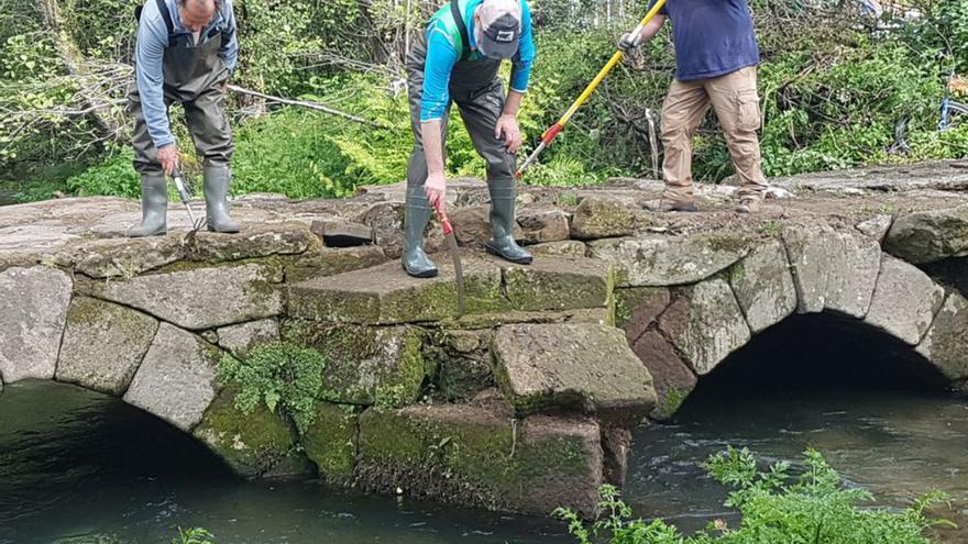 Vaipolorío limpia elementos vegetales en el río Gafos