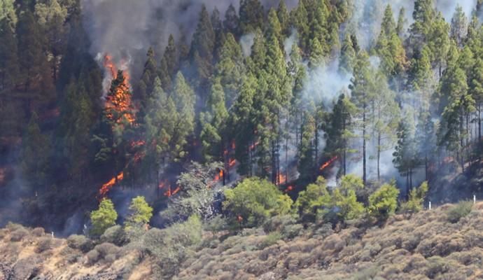 Incendio en Artenara (Gran Canaria)