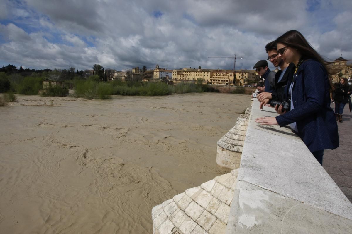 Córdoba, pendiente de la crecida del Guadalquivir