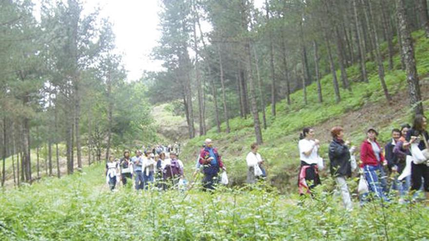 Senderistas durante un paseo por el monte de A Picaraña. // D.P.