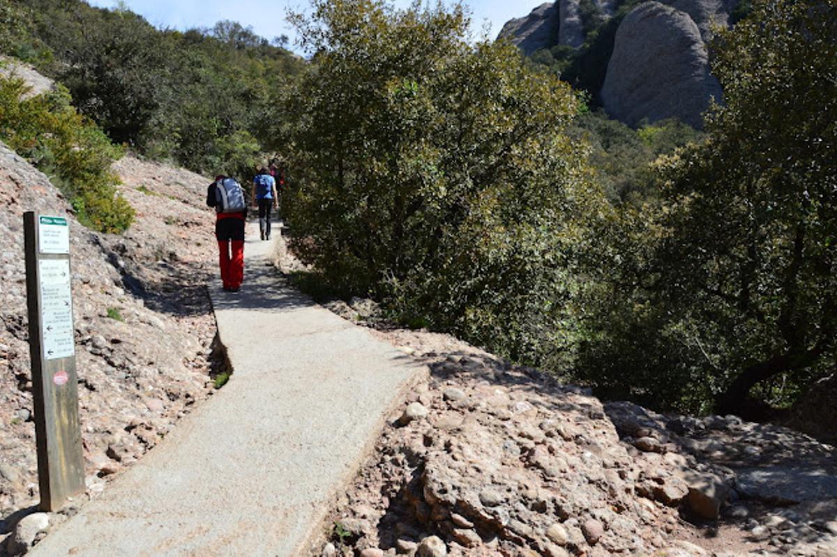 Excursionistes al Pla dels Ocells