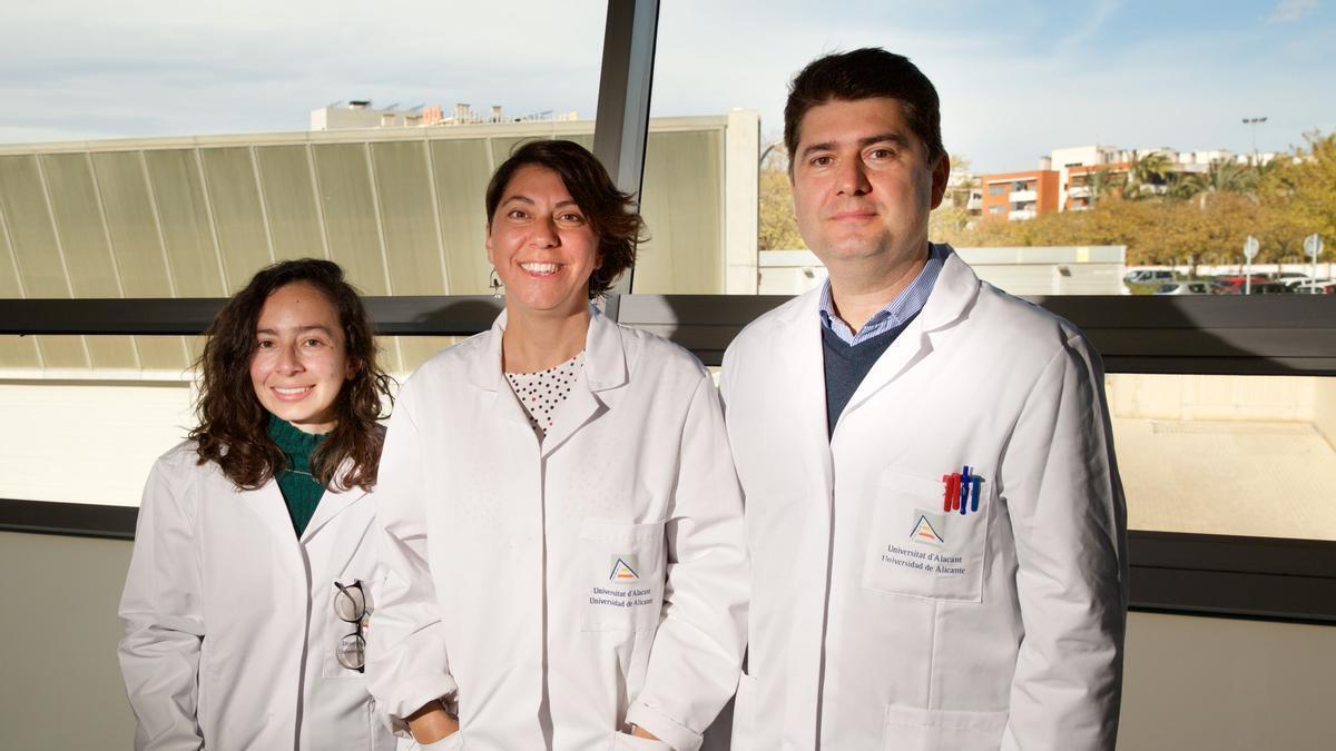 Investigadores del grupo Nanomol de la Universidad de Alicante