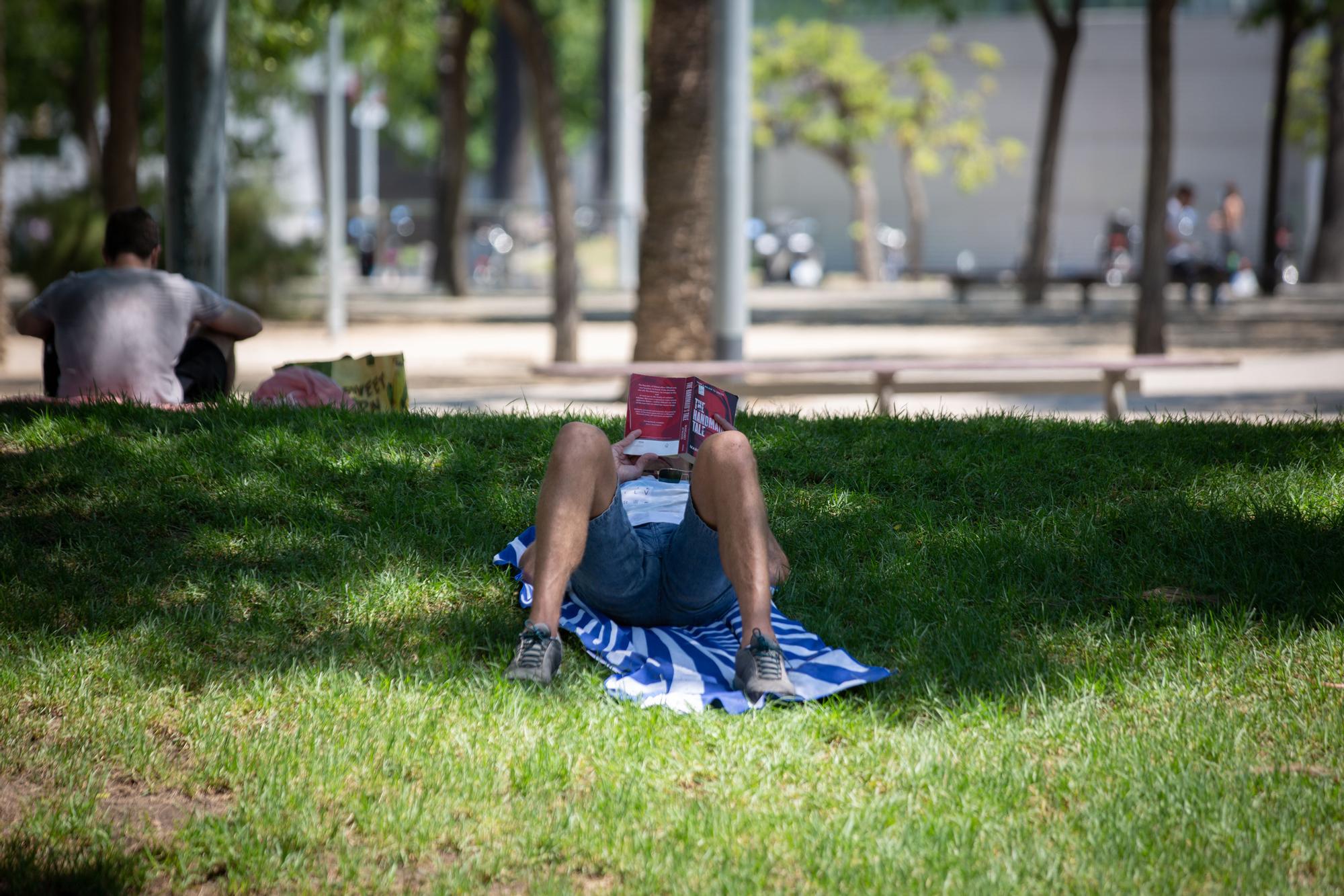 Una persona lee bajo la sombra de un árbol en Barcelona.