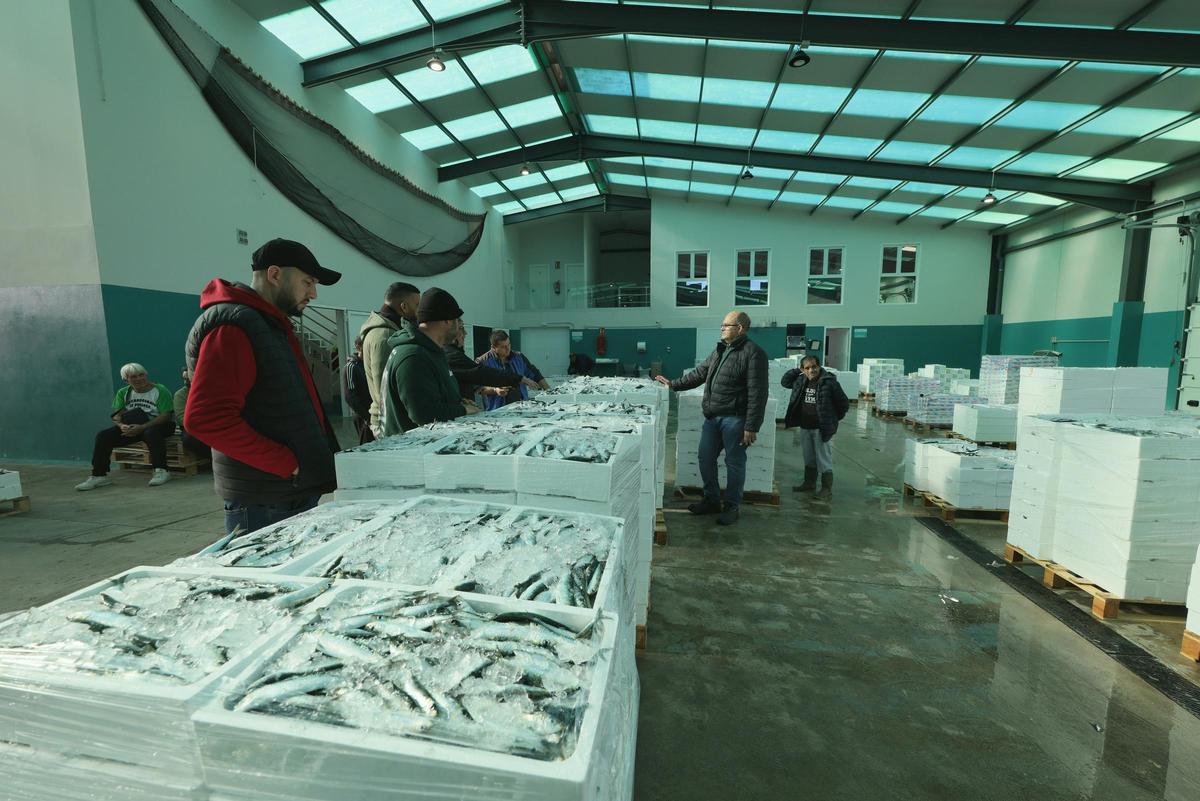 La flota desembarcó 2.500 cajas de sardina (18 /2 /2026)