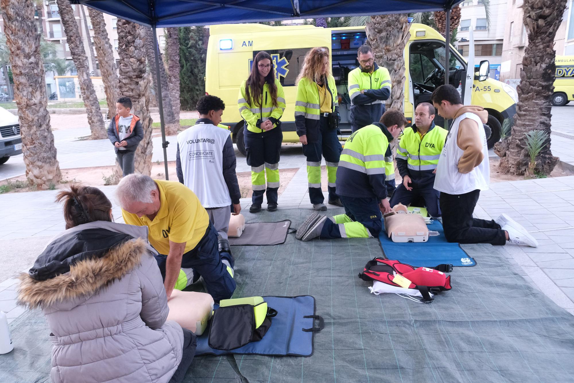 Así ha sido la celebración del Día del voluntariado en Elche