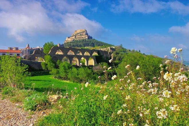 Morella