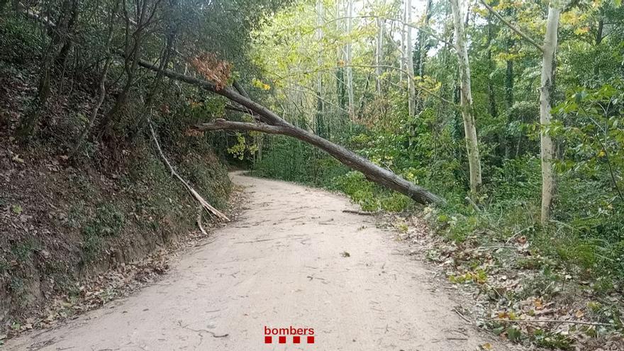 Segueix l&#039;alerta per fort vent amb ratxes de més de 81 km/h en punts de Girona