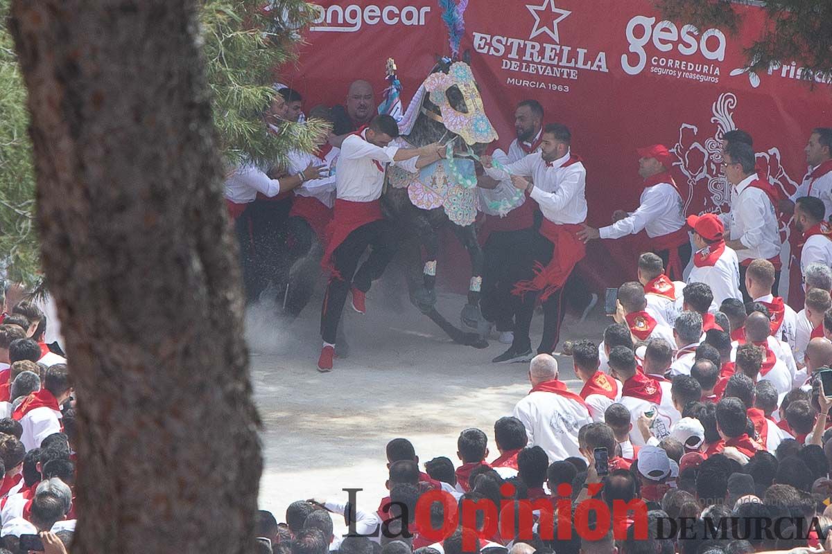 Así ha sido la carrera de los Caballos del Vino en Caravaca