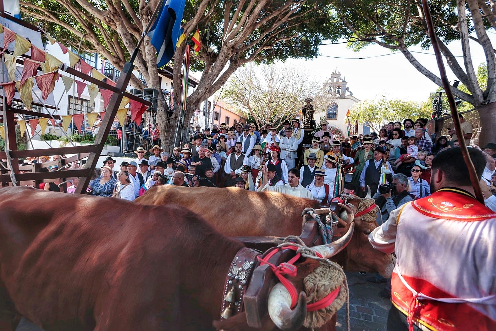 Romería San Antonio Abad en Arona