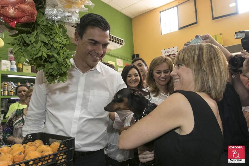 Fotogalería / Pedro Sánchez, en Córdoba