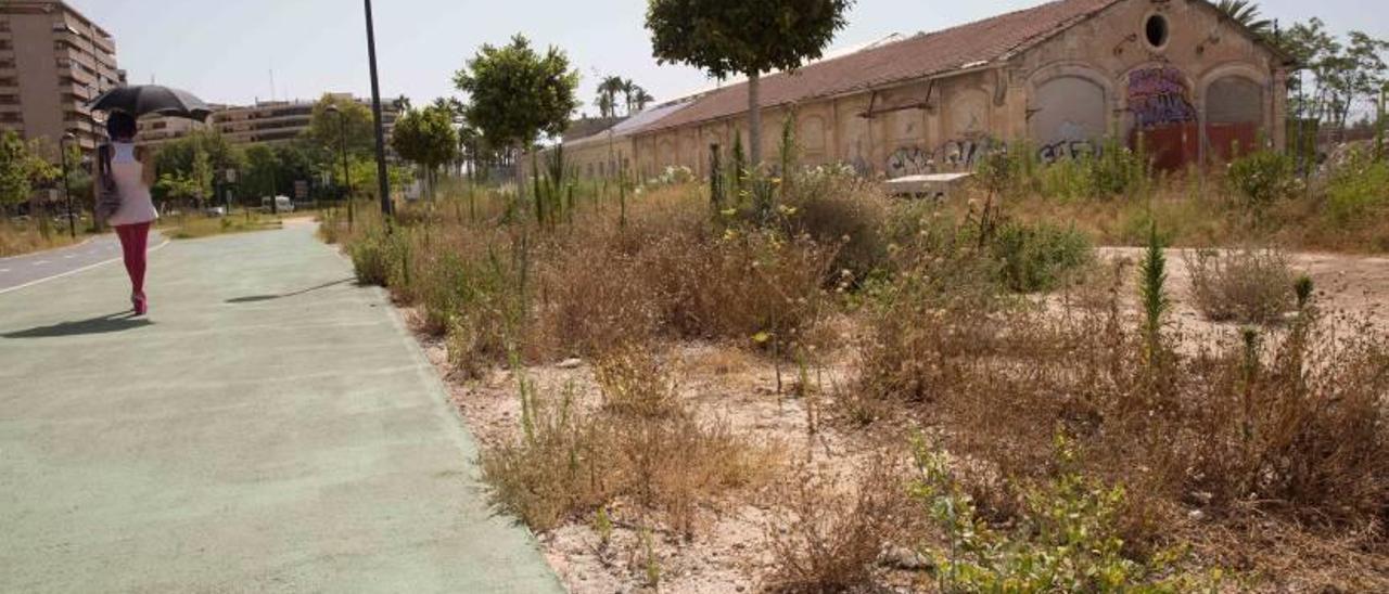 Las zonas verdes estaban muy descuidadas, repletas de malas hierbas y matojos.