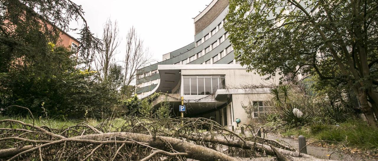 Un árbol caído frente al edificio de Maternidad del viejo hospital. | Irma Collín