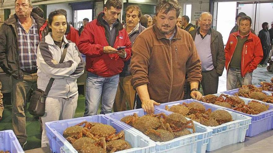 El primer día de la subasta de la centolla del año pasado en la lonja de Bueu. // Santos Álvarez