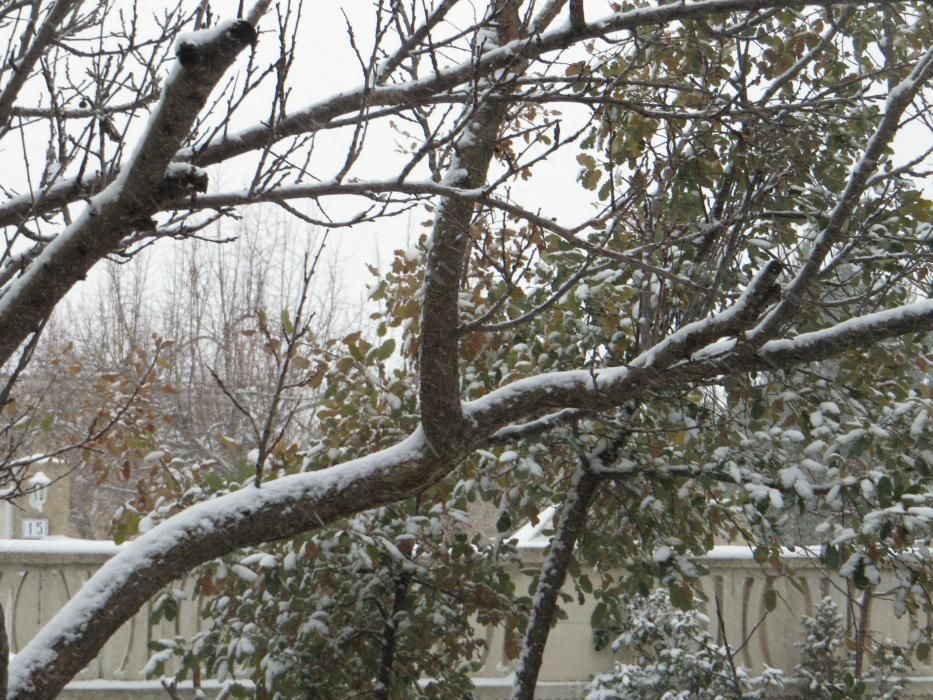 Nieve en Banyeres de Mariola