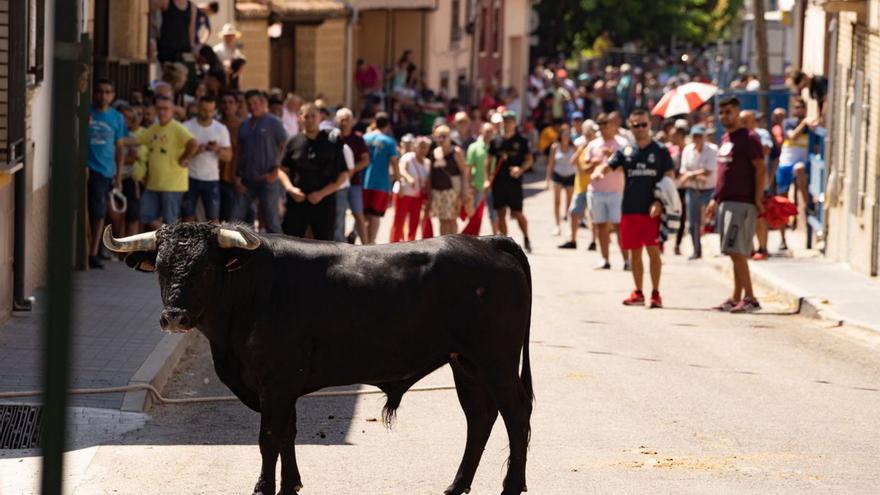 La Bóveda recupera su espíritu taurino con el encierro urbano