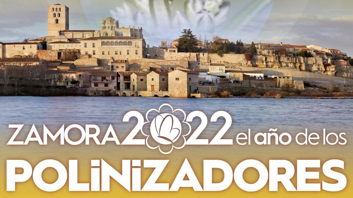 Cartel Año de los Polinizadores 2022