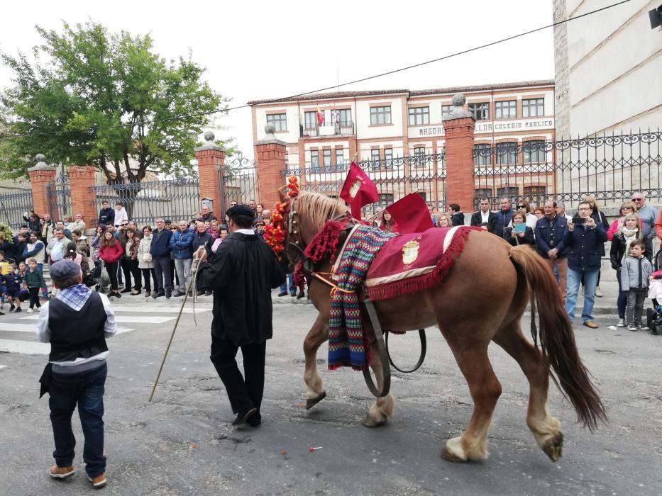 Desfile de carros de la Fiesta de la Vendimia