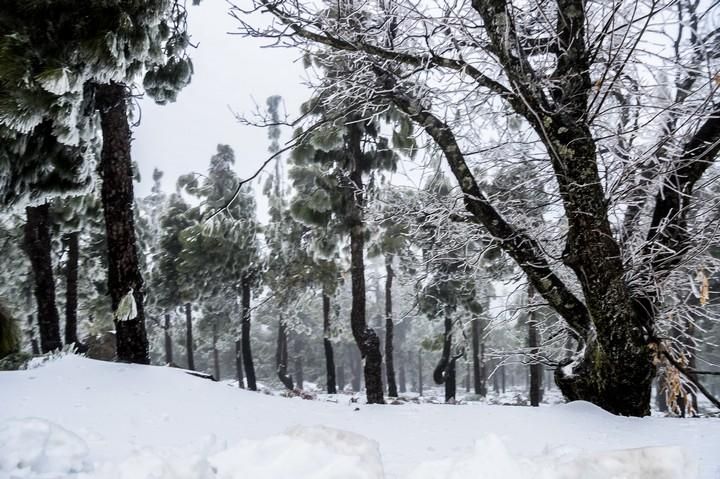 NIEVE EN LA CUMBRE