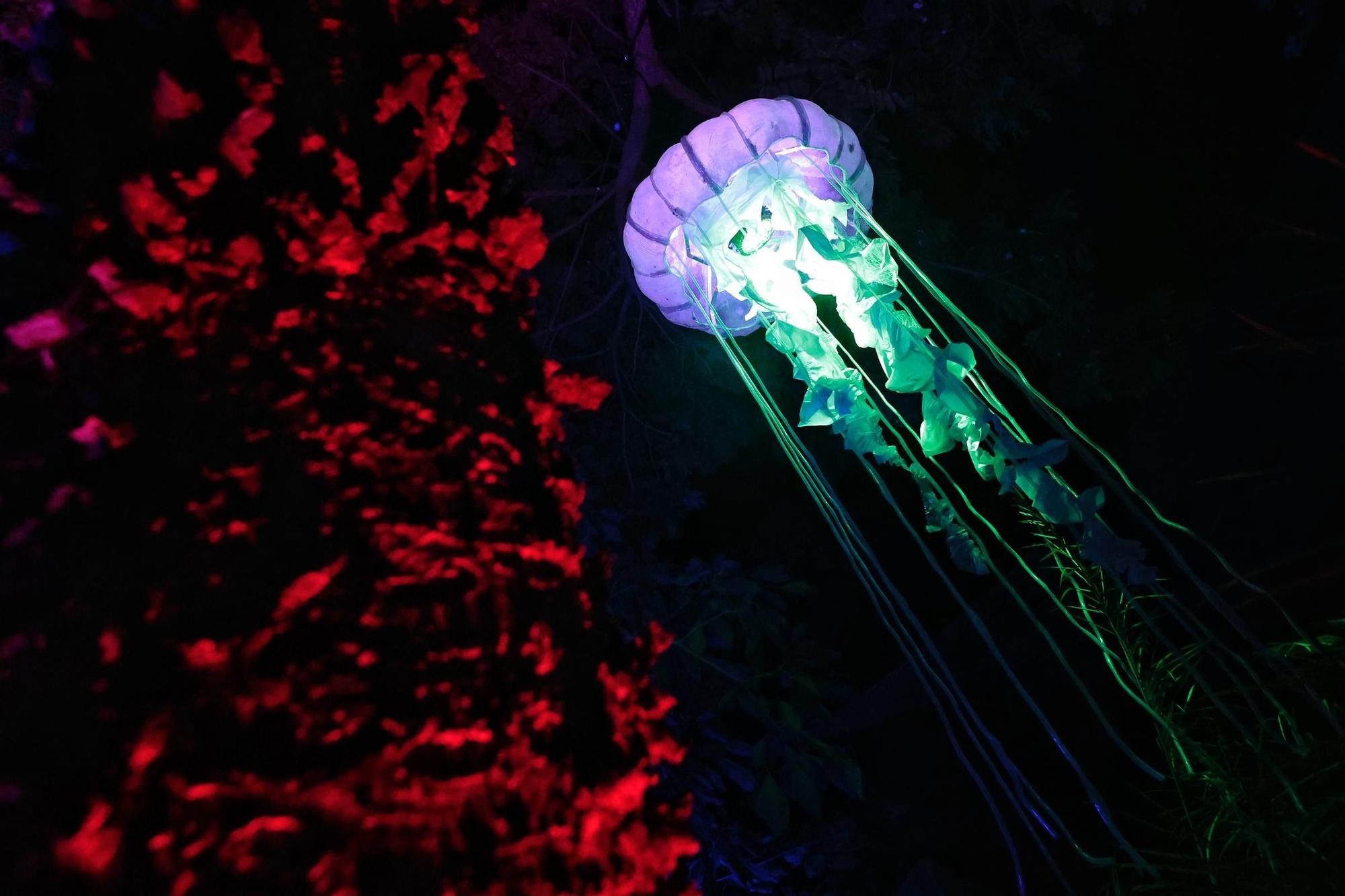 Montaje de Naturaleza Encendida en el Palmetum