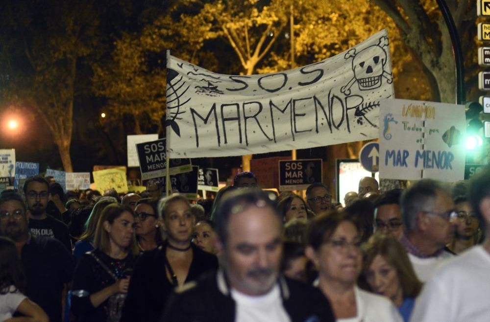 Manifestación en Cartagena: 55.000 personas claman por el Mar Menor (II)