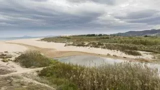 Nuevo giro de guión en el conflicto de Gandia y Xeraco por el linde de términos