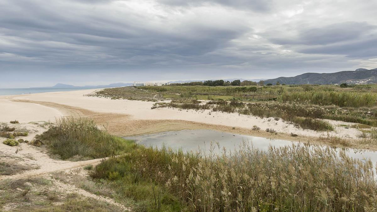 El cauce del río Vaca, que habitualmente se ha tenido como el linde entre los términos de Gandia y Xeraco en la playa de l’Auir.