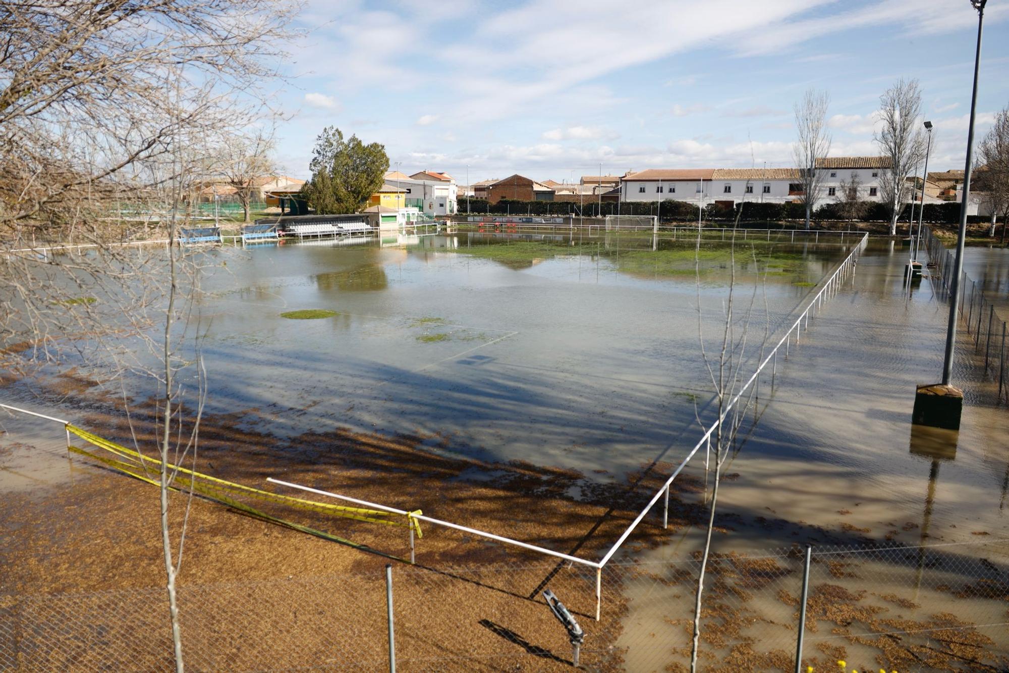En imágenes | Así transcurre la crecida del Ebro a su paso por Aragón