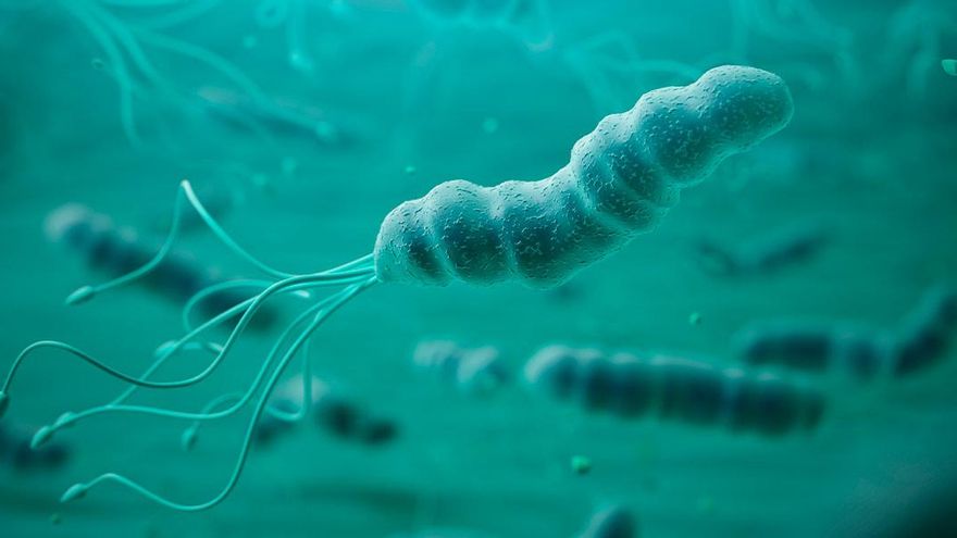 Así son los síntomas del Helicobacter pylori