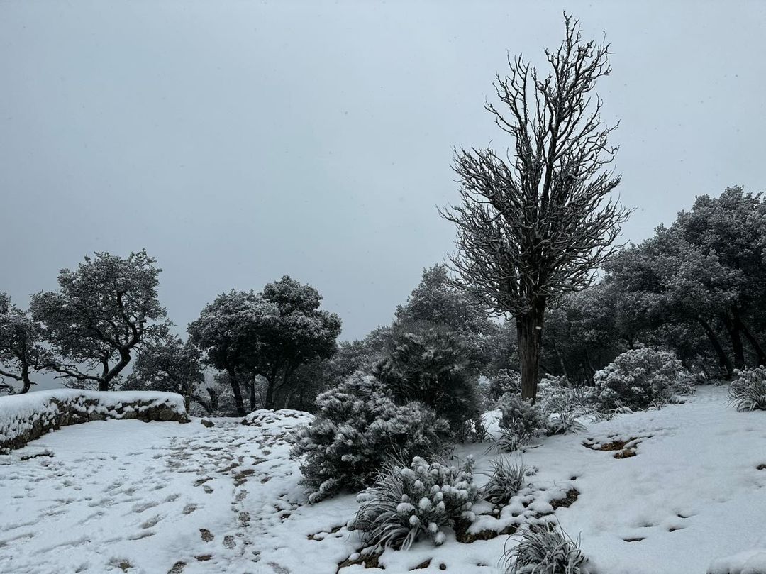 Schnee auf Mallorca – so schneit es in der Tramuntana