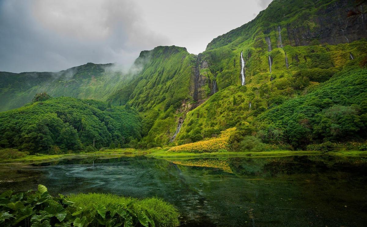 Azores Isla de la Flores