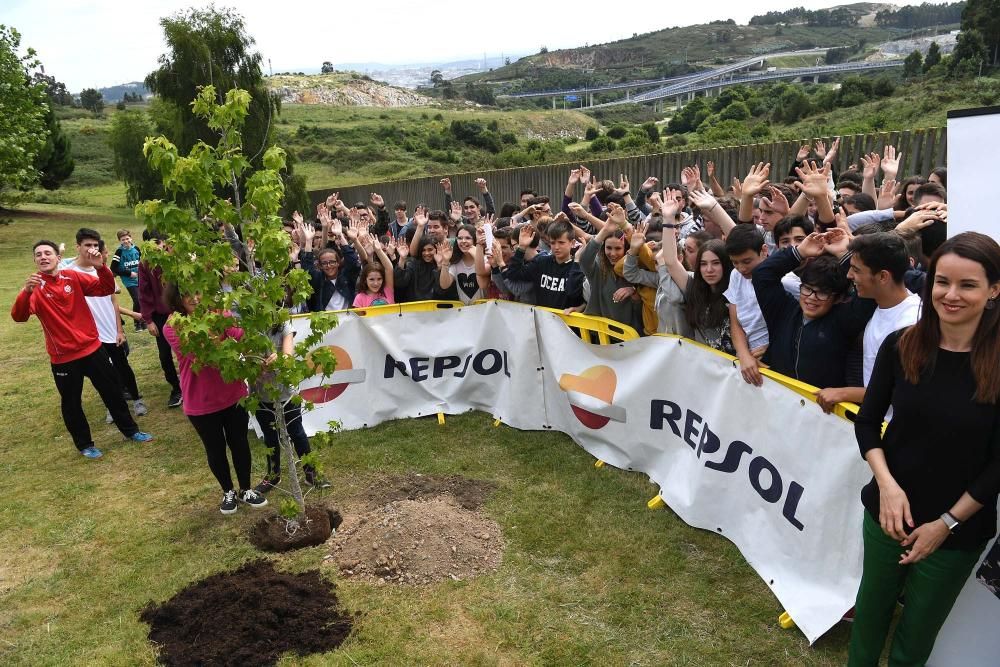 La refinería de A Coruña entrega los premios del concurso de limpieza y reciclaje en las aulas, en el que han participado 316 alumnos del centro arteixán. También plantaron un liquidámbar americano.