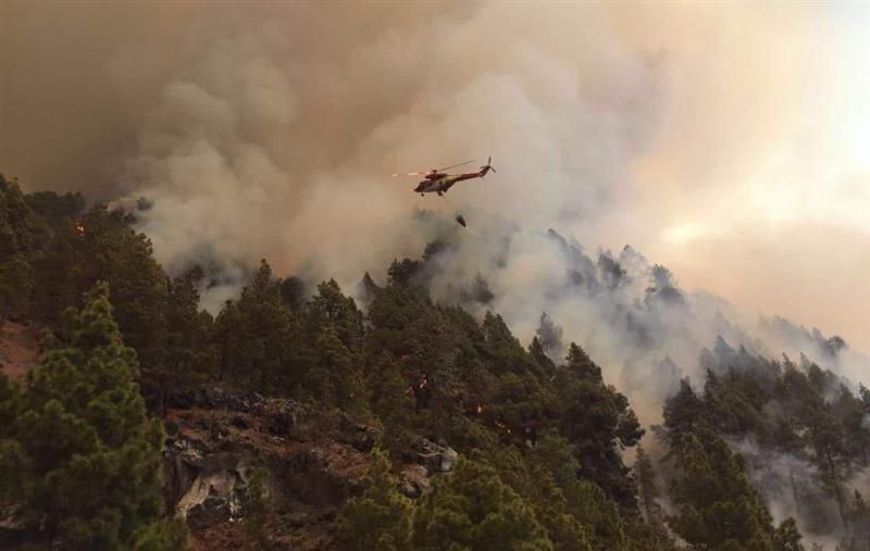 Incendio forestal en la zona de Montaña de Jedey