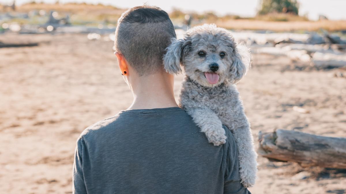 Consejos para que tu perro te haga caso.