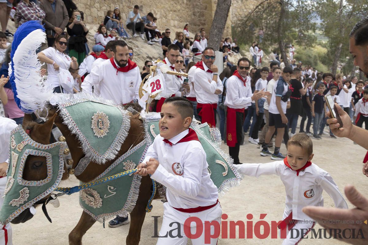 Fiestas de Caravaca | Desfile infantil del Bando de los Caballos del Vino