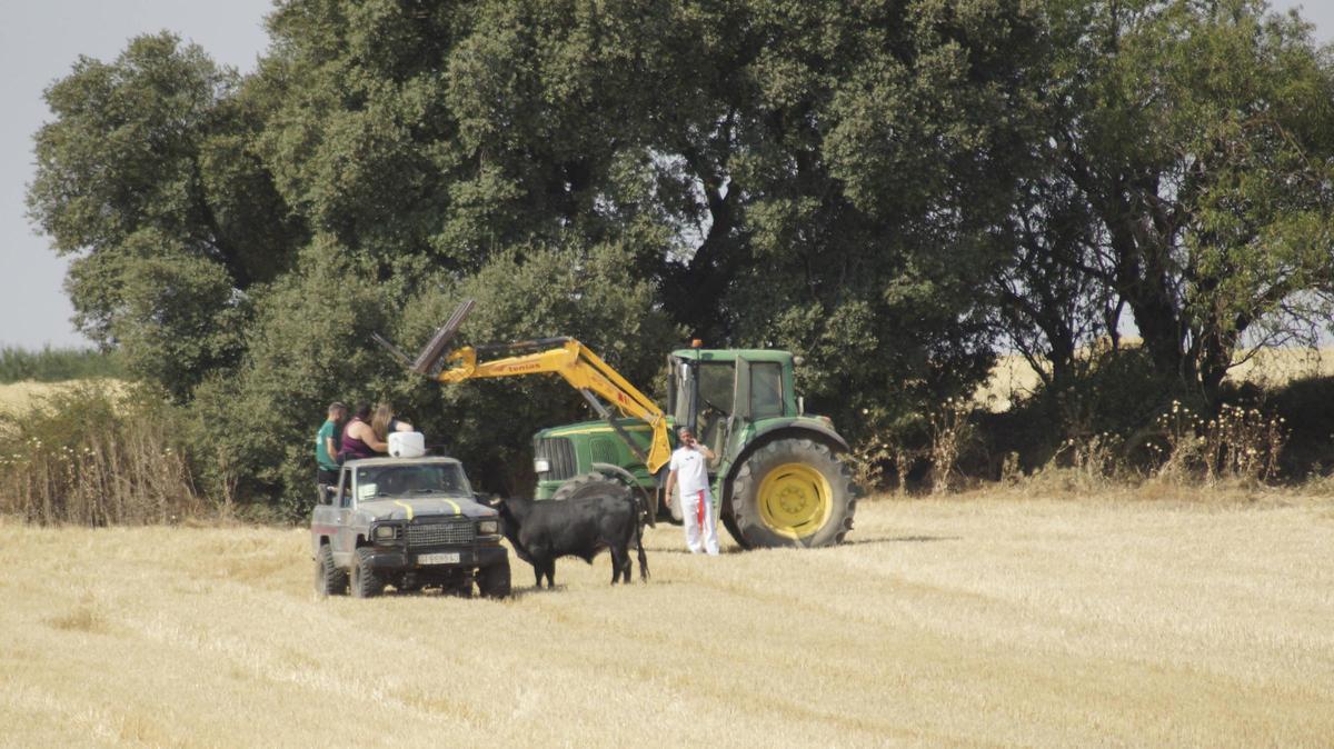 GALERÍA | Villalpando afianza su tradición taurina con un encierro mixto