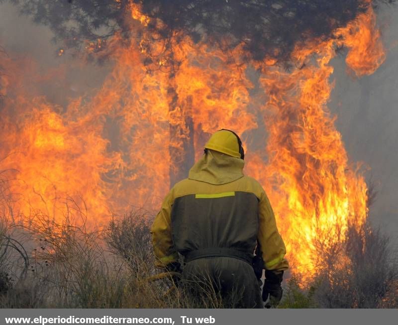 GALERIA DE IMÁGENES  - INCENDIO FORESTAL EN LA VALL