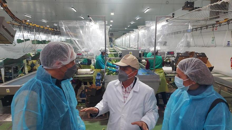 El PP alerta de que en 20 días pueden surgir “problemas de desabastecimiento” de pienso en Lorca