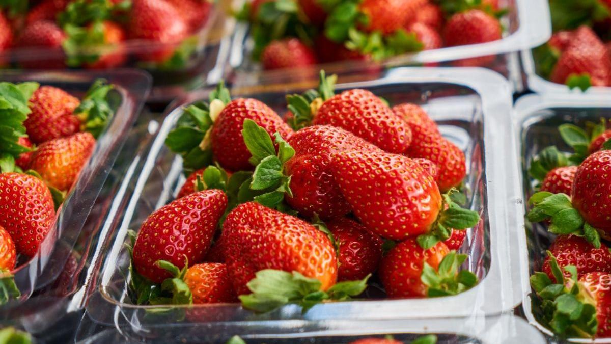 El truco que te ayudará a conservar las fresas frescas durante más tiempo -  Cadena Dial