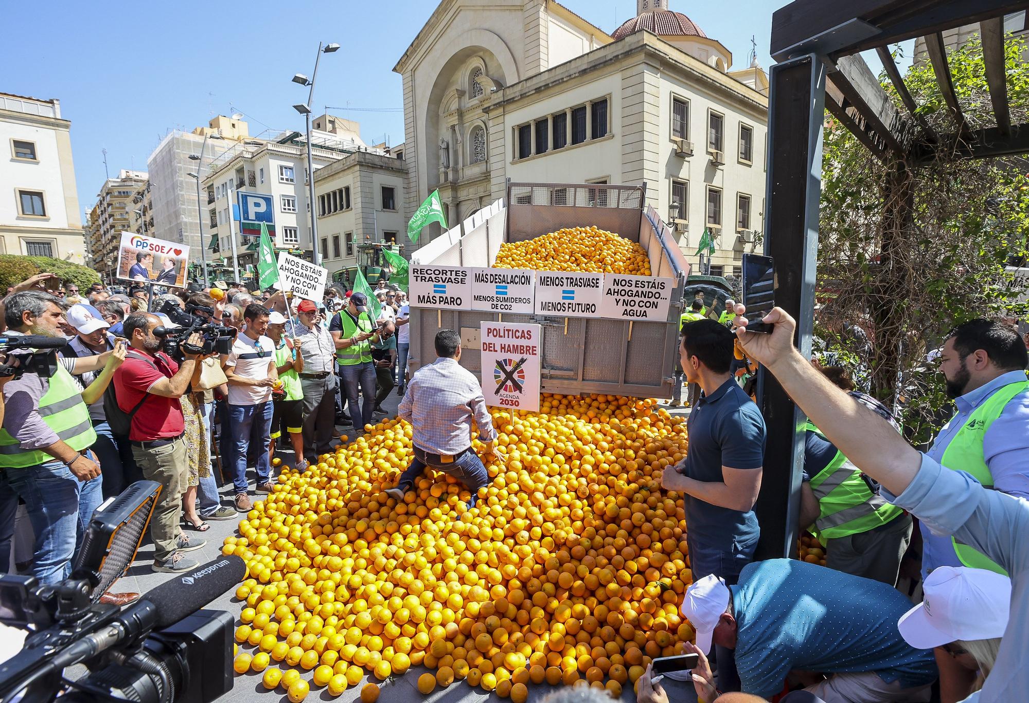 Los agricultores dictan sentencia: el recorte del Tajo-Segura nos lleva a la ruina y la clase política no ha hecho nada