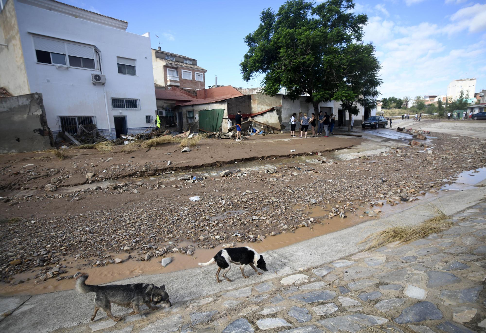 Los estragos del temporal en Javalí Viejo, en imágenes