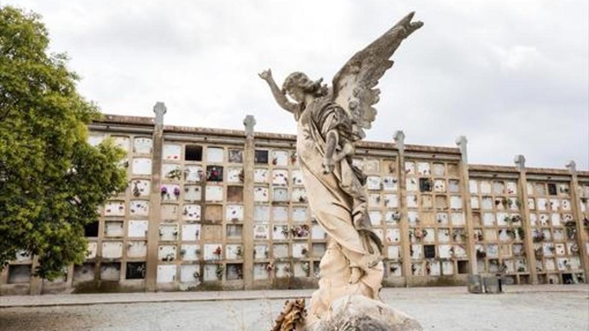 Imagen del interior del Cementerio de Sabadell
