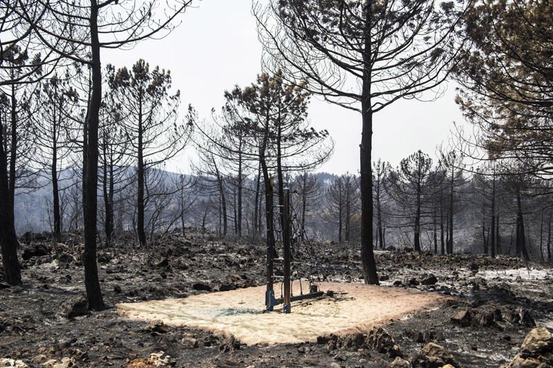 El paraje de El Surar, arrasado por el incendio