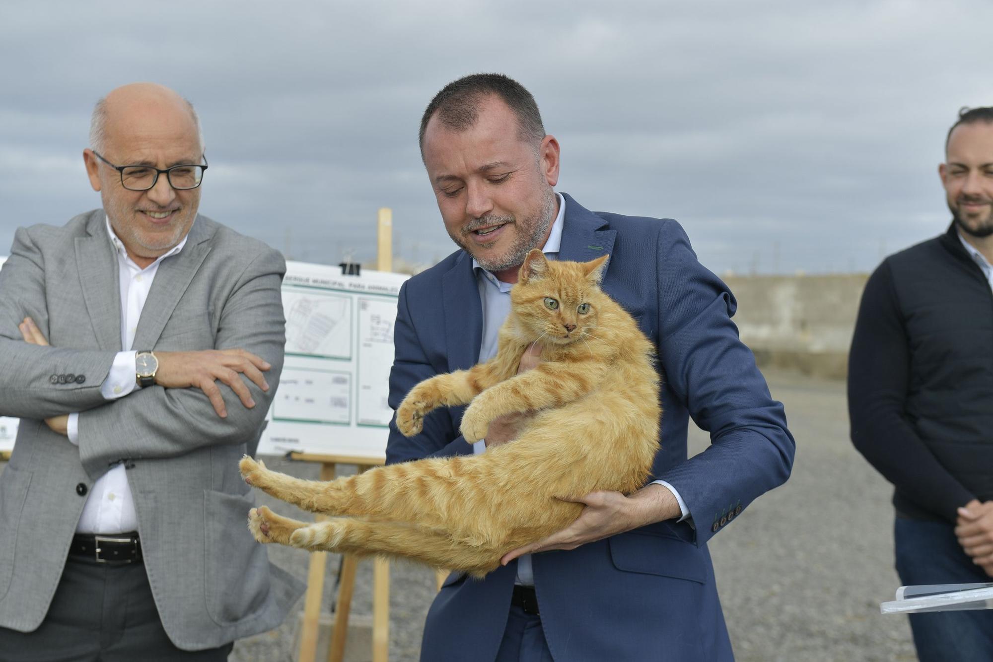 Gáldar tendrá en El Sobradillo un albergue para perros, gatos, ovejas y hasta caballos