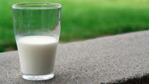 ¿Contribueixen la llet i els iogurts a l’anèmia?