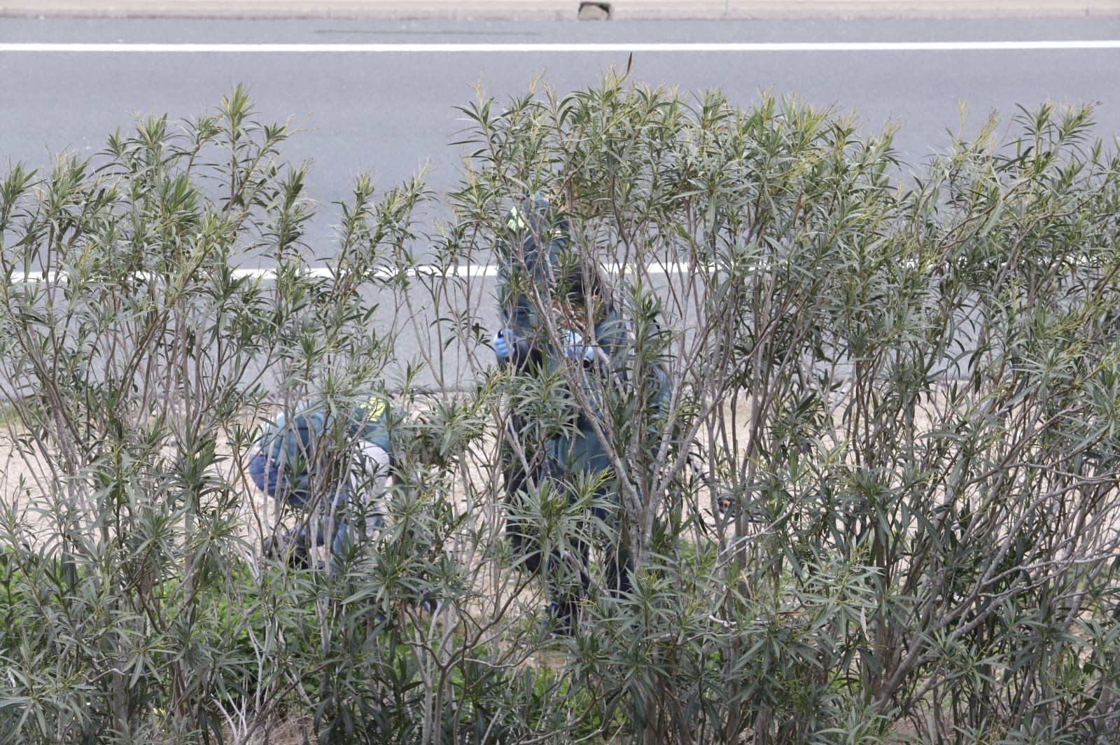Un crimen en mitad de la carretera: El lugar del asesinato de Arturó Torró
