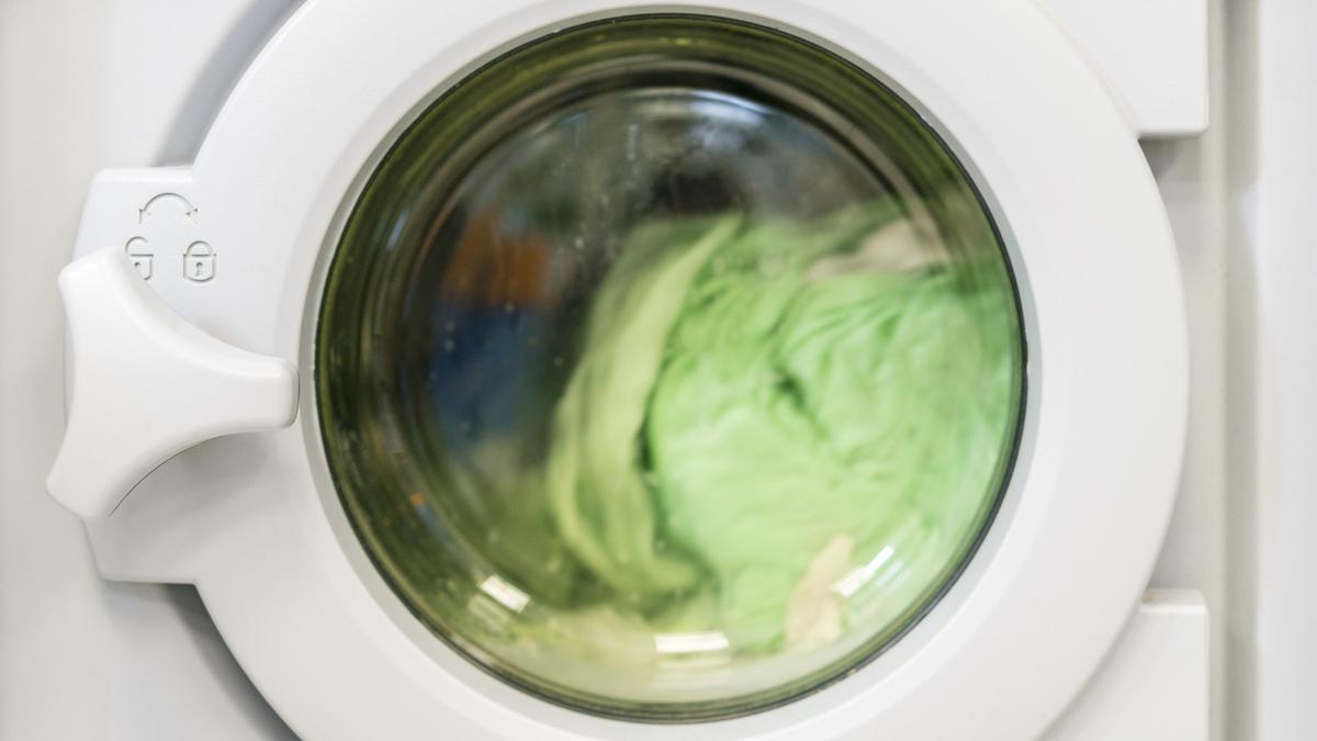 El truco casero que está en boca de todos: limón y pasta de dientes para una lavadora impecable