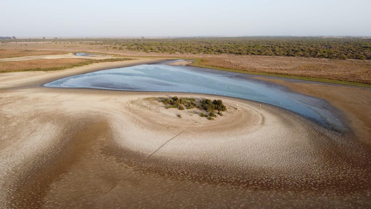 Laguna de Santaolaya en Doñana, agosto de 2022.